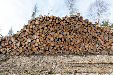 Stapel aus Holzstämmen