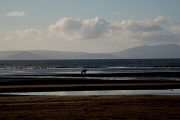 Obraz premium Horse Rider on a Deserted Beach at Dusk
