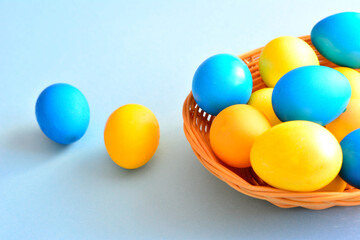 blue and yellow easter eggs in basket on blue background, close-up