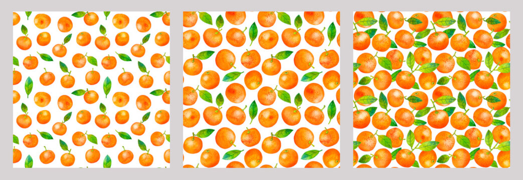 Orange mandarin watercolor seamless pattern set, hand painted citrus fruits and leaves on white background, decorative botanical backgrounds