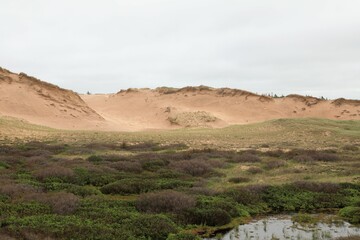 landscape in the mountains