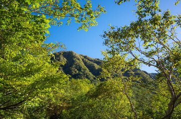北アルプスの入口 / 上高地〜涸沢〜穂高岳 / 2029092X