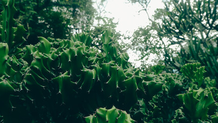 water drops on green grass