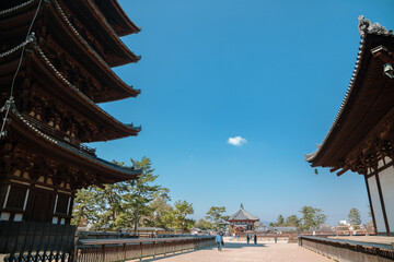 Fototapeta na wymiar Kofuku-ji temple UNESCO World Heritage site in Nara, Japan