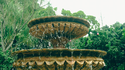 fountain in the garden
