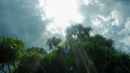 sun rays through clouds