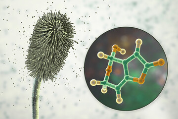 Aspergillus clavatus mold fungi and molecule of patulin toxin, 3D illustration