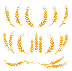 wheat stalks, barley and rye bunch set icons