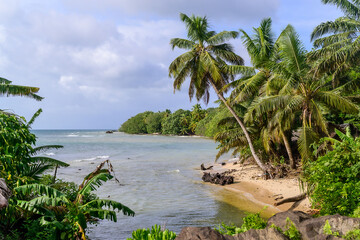Beautiful scene of palm trees by the blue majestic sea and a blue sunny sky on the horizon