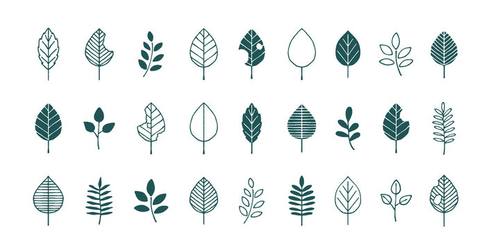 Chicken Scratch Images Browse 63 473 Stock Photos Vectors And Video Adobe Stock