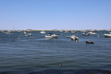 boats in the harbor
