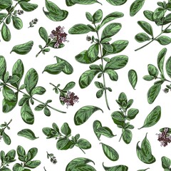 Marjoram seamless pattern repeatable decorative background vector illustration.