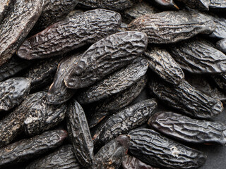 Tonka whole beans conventional