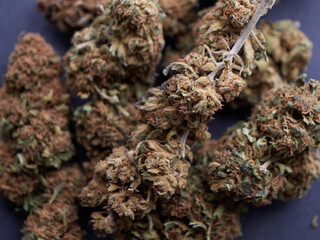 Cannabis