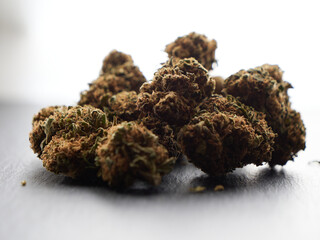 Cannabis