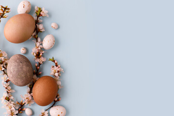 Stylish easter eggs and cherry blossoms flat lay on blue background. Modern brown natural dyed eggs, candy and white flowers border layout. Happy Easter! Greeting card, space or text