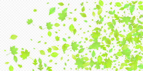 Leaves Falling Spring Flying Foliage Green Leaf