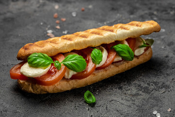 panini caprese with tomato, mozzarella and basil, Caprese Panini Sandwich. Delicious breakfast or snack, Clean eating, dieting, vegan food concept. top view
