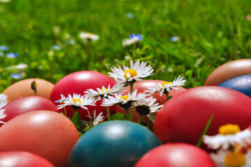 Fototapeta na wymiar Easter eggs and green spring grass and flowers