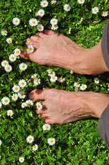 Standing barefoot on the spring grass, connecting with the ground - 493995281