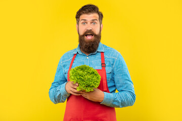 Surprised man in apron holding fresh leaf lettuce yellow background, greengrocers