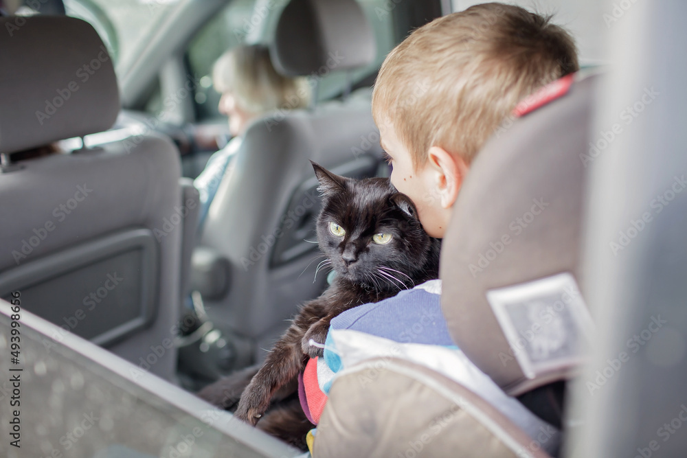 Poster Ukrainian boy holds a cat in his arm during his family fleeing by car from war against Russia. Refugees, world terrorism and war. Volunteering and helping hand