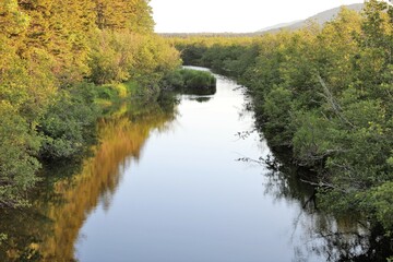 Fototapeta premium river in autumn