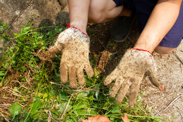 Burdock burrs stuck on work glove.