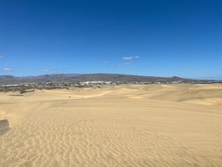 Fototapeta na wymiar Maspalomas sand dunes on the island of Gran Canaria 