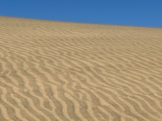 Maspalomas sand dunes on the island of Gran Canaria 