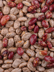 Organic fresh white and red beans, vertical view pattern