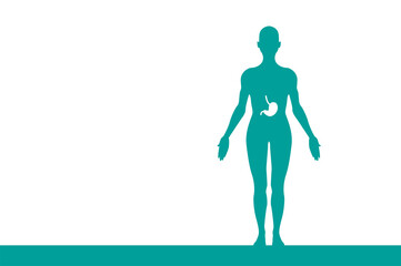 sagoma, organi corpo umano, medicina