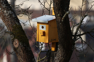 Wooden birdhouse hangs from a tree - Powered by Adobe