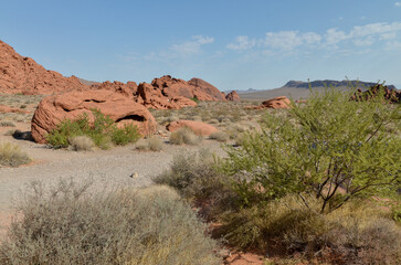 "Beehives" red sandstone rocks  in Valley of Fire State Park (Nevada, USA)