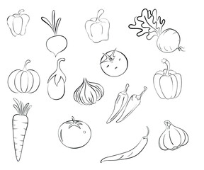 Vegetables set. Vector drawing food object, Line art, vegetables Drawing, potato Drawing, caret Vegetables, Hand draw vegetables vector material Vector Food download