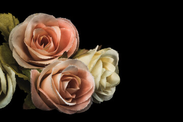 Vintage flower style,pink rose and white rose on black background,made of cloth