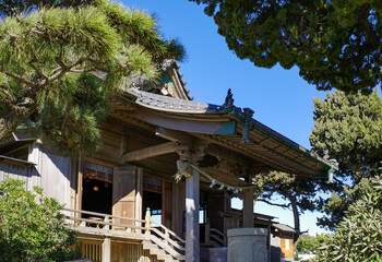 海辺の日本建築の神社と松の木