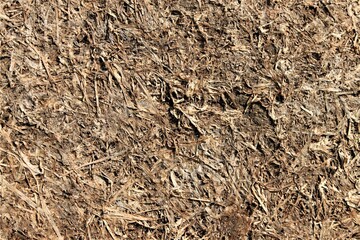 close up of soil