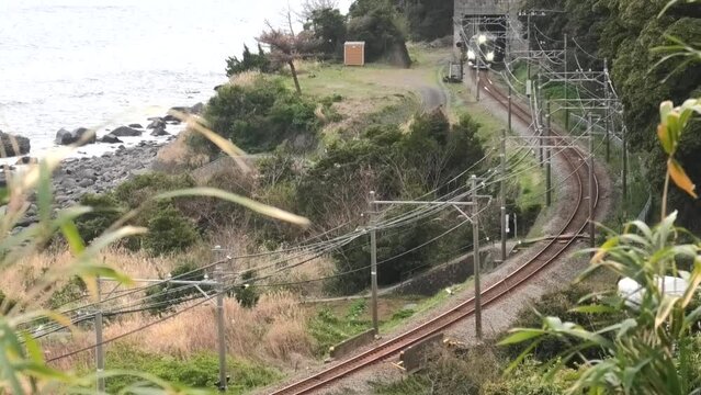 伊豆急行線　E257系