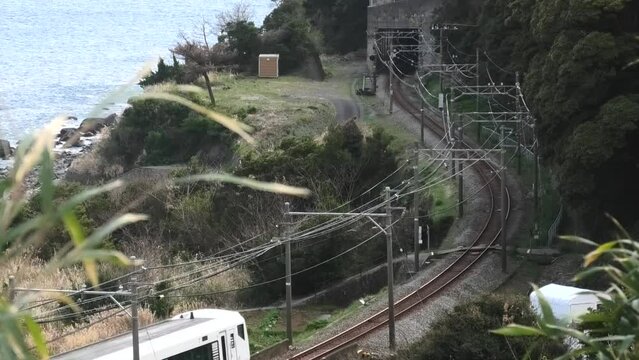 伊豆急行線　E257系
