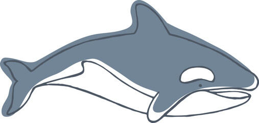Obraz premium Killer Whale Hand Drawn Illustration