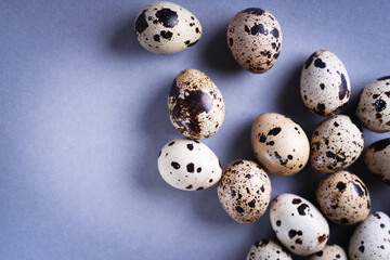 Fototapeta premium Easter composition. Easter background. Easter quail eggs. Quail eggs on gray background