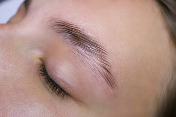 close-up of eyebrow hairs styled and combed with laminating compositions