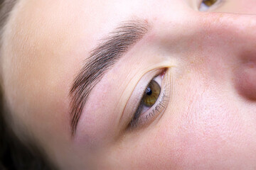 finished work after the procedure of lamination of eyebrows and correction and coloring - obrazy, fototapety, plakaty