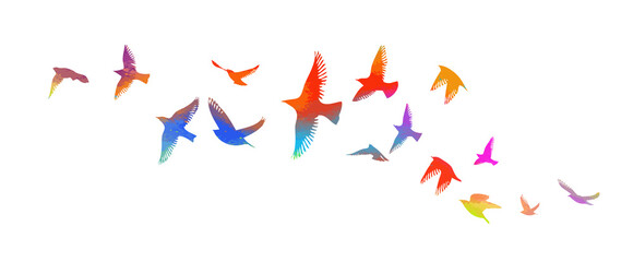 Fototapeta na wymiar Multi-colored birds. A flock of flying rainbow birds. Vector illustration