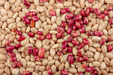Organic fresh white and red beans, horizontal view texture