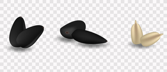 Sunflower seeds. Realistic 3d vector. Seeds in different positions. peeled seeds