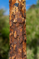 Post completely rusted. Bokeh background.