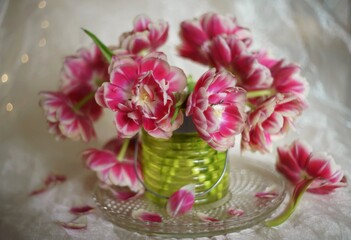 still life with flowers