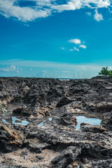 Rocky shore in atlantic oceanfront Dominican Republic-2